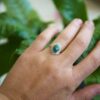 The Green Majesty - Image 6